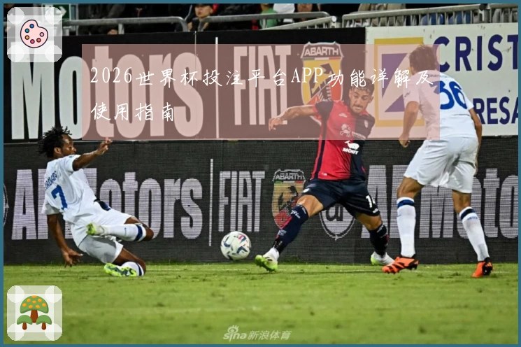 2026世界杯投注平台APP功能详解及使用指南