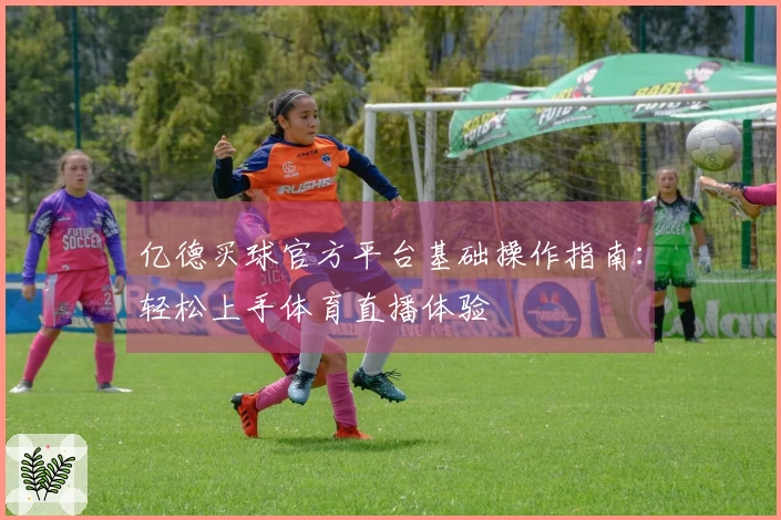 亿德买球官方平台基础操作指南：轻松上手体育直播体验