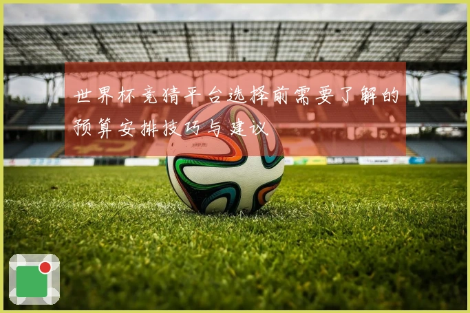 世界杯竞猜平台选择前需要了解的预算安排技巧与建议