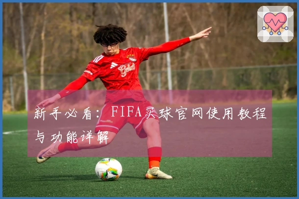 新手必看：FIFA买球官网使用教程与功能详解